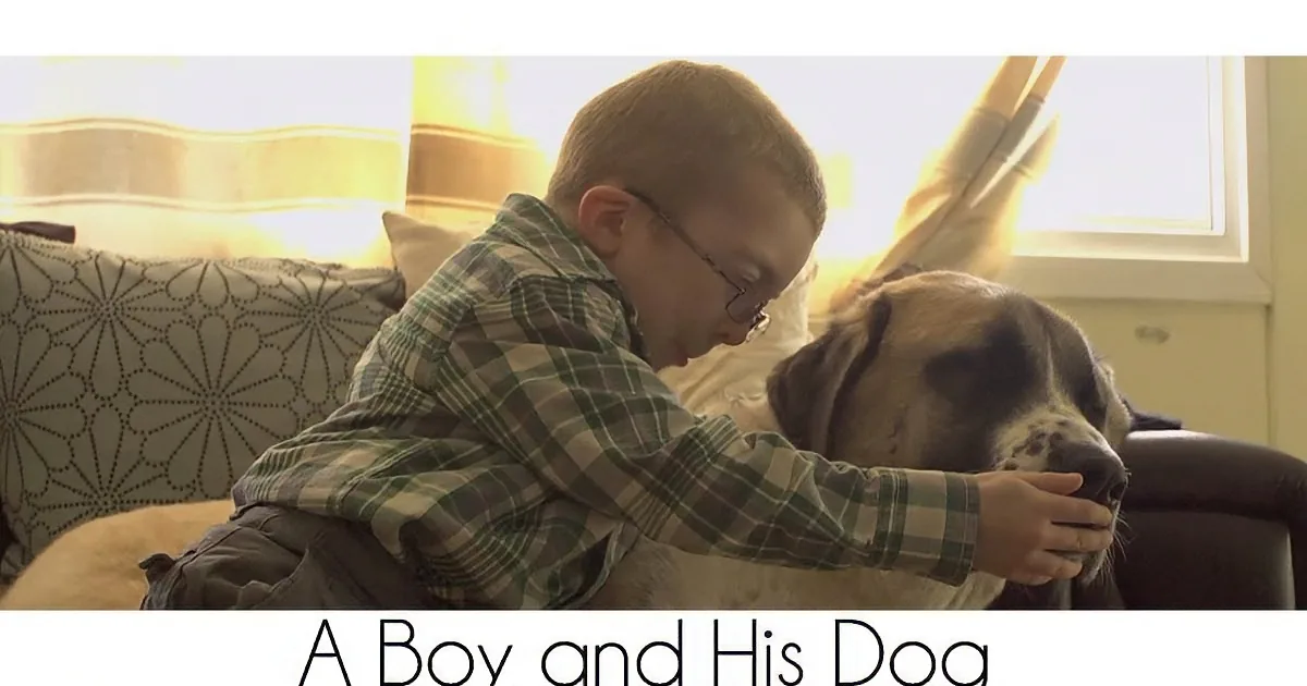 Little Boy''s Confined to a Wheelchair. but When This 3 Legged Dog Comes Into His Life? Beautiful!