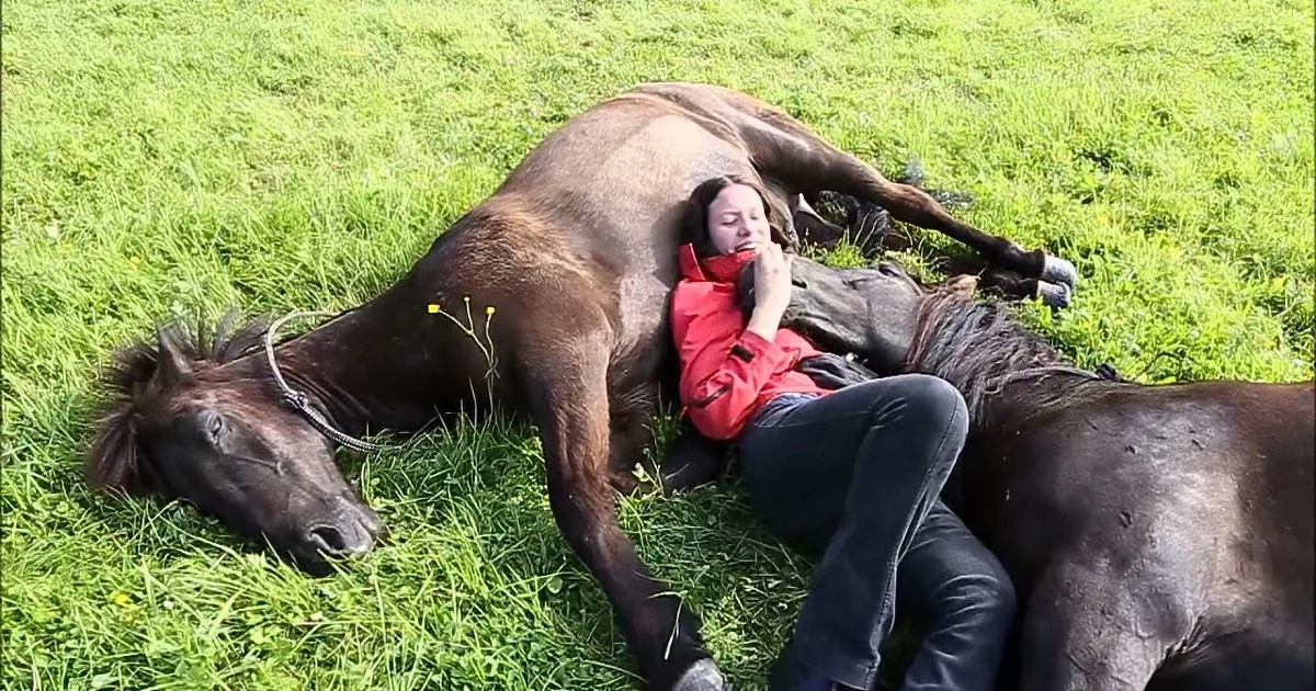 Woman Shows off Her Bond With 2 Horses. When She Did This? I Couldn't Believe My Eyes