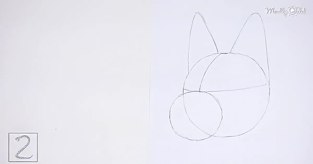 A simple drawing of a cat's head with ears and a circle body, labeled "2" on the left.