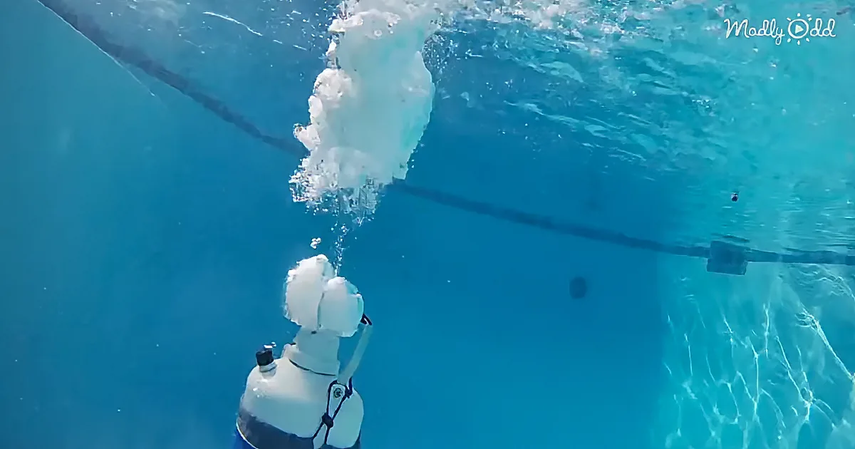 What Happens When You Open a Bottle of Liquid Nitrogen in a Swimming Pool?
