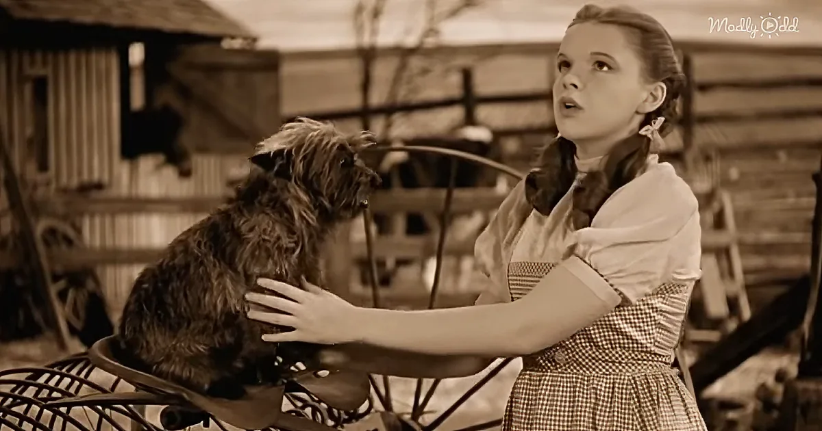 Judy Garland's 'Somewhere Over the Rainbow' in Timeless Original Video