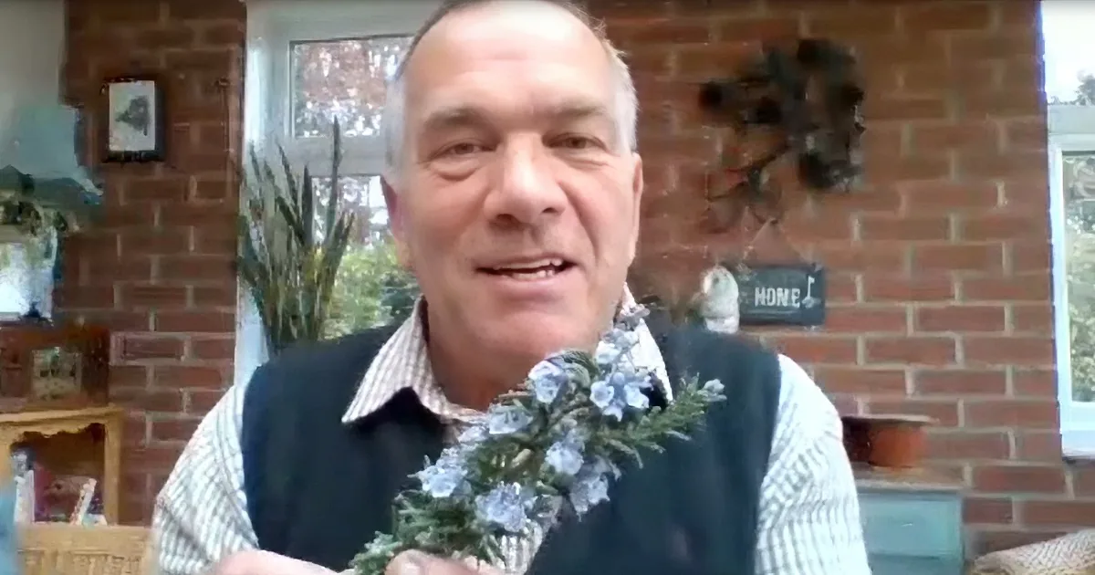 Why Gardening Is a Must for Lockdown, Quarantine or Time at Home