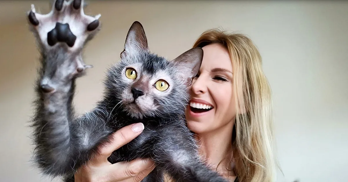 A woman holds a playful gray kitten with bright yellow eyes, both smiling.