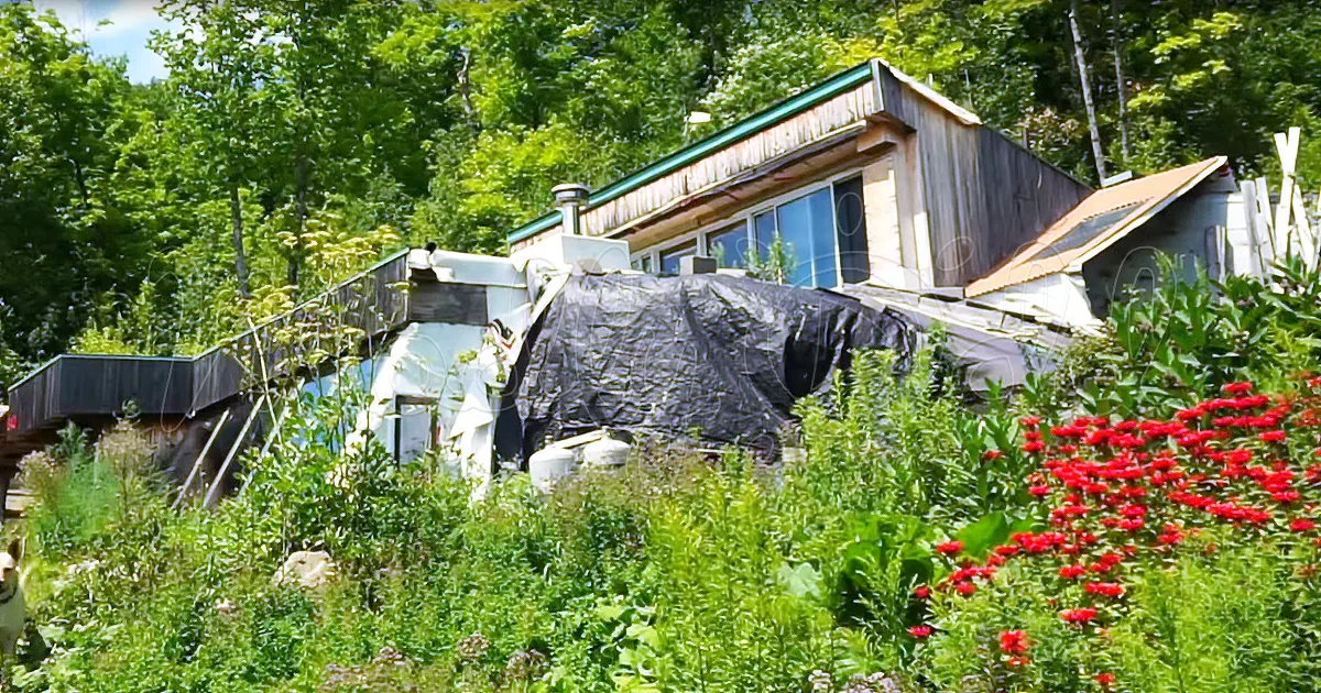 Woman Lives off-Grid in ''Swiss Family Robinson'' Inspired House