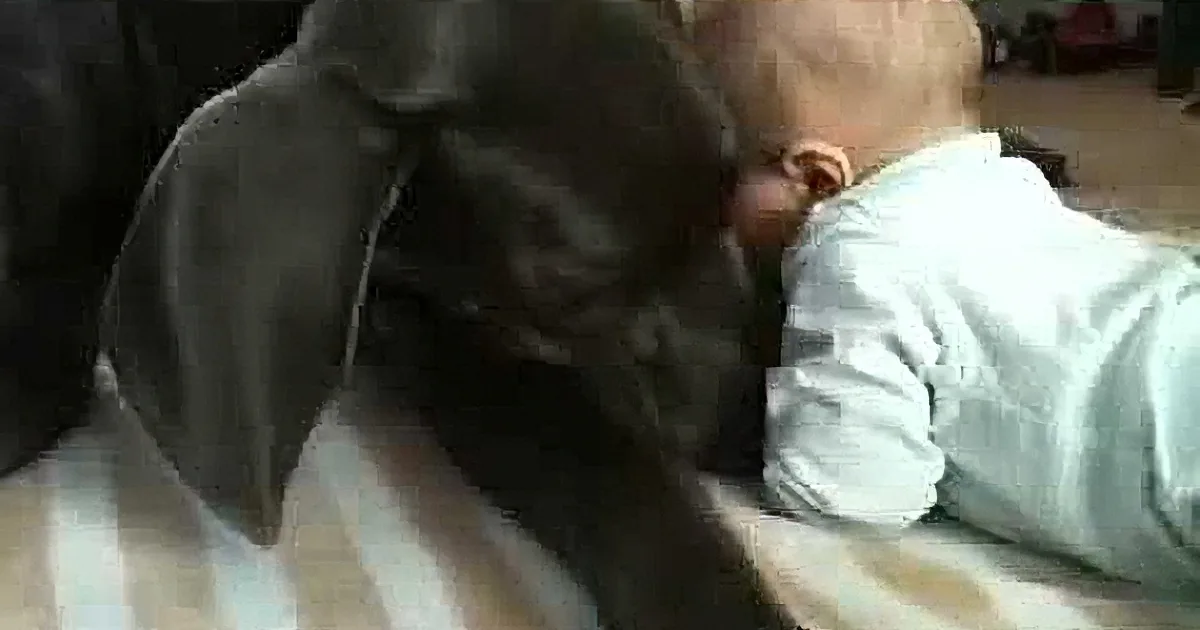 Baby Boy Meets His New Great Dane, Become Best Friends and Cuddle All Day