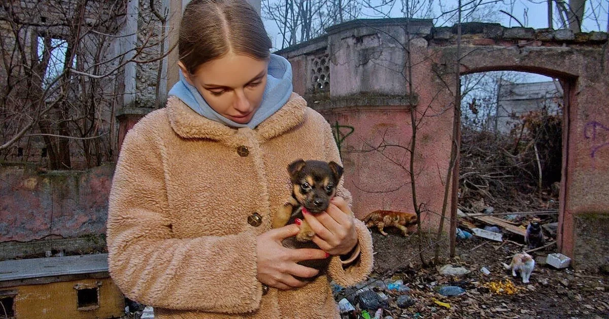 A woman in a tan coat holds a small puppy, surrounded by debris and cats in a dilapidated area.