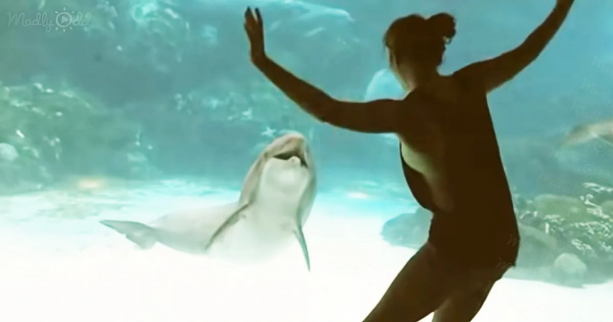 A nude woman stands with arms raised, facing a dolphin swimming nearby in an aquarium.