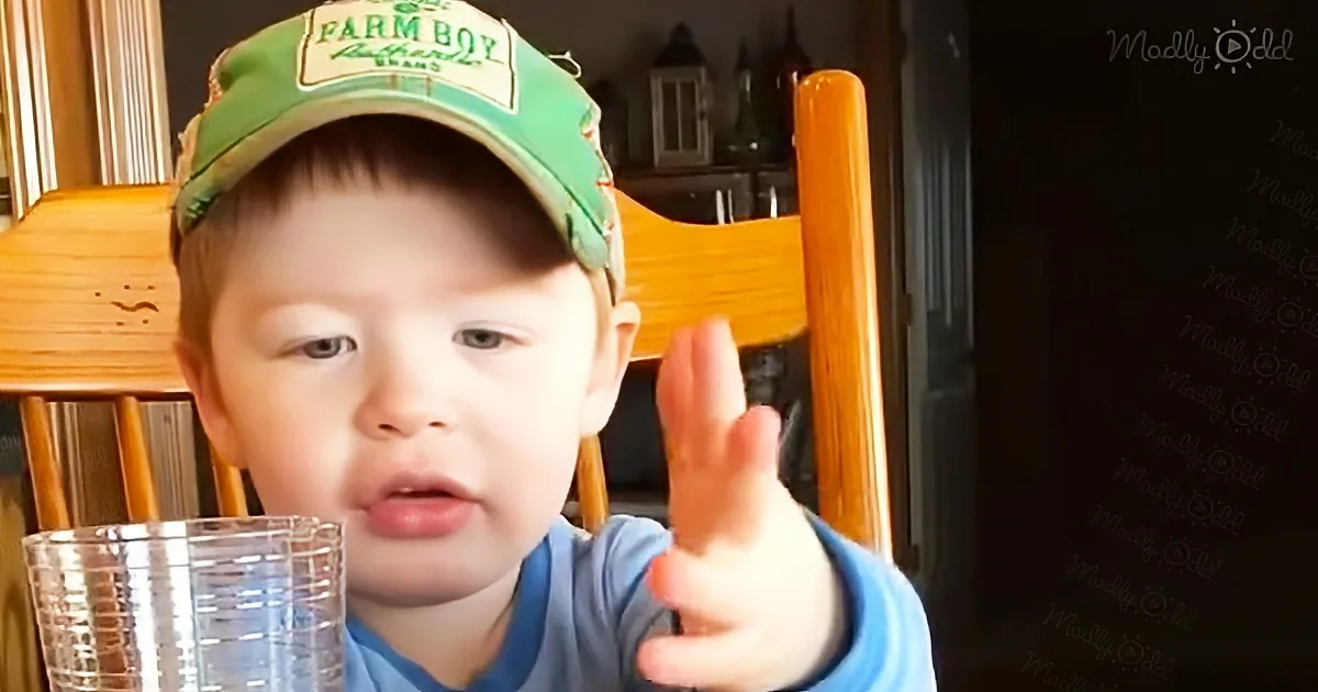 A young child wearing a green "Farm Boy" cap sits at a table, holding a glass and raising their hand.