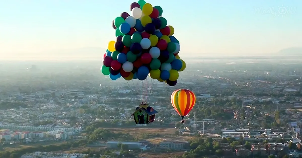 A house is lifted by a cluster of colorful balloons above a cityscape.