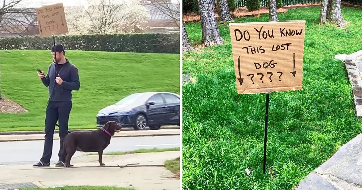 A man stands on a sidewalk with a dog, near a sign asking if anyone knows the lost dog.