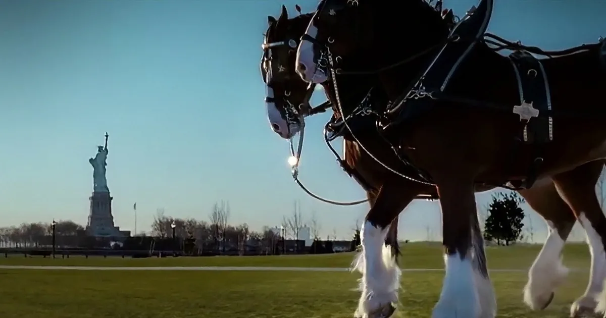 Horses pull a Budweiser carriage in front of a city skyline on a sunny day.