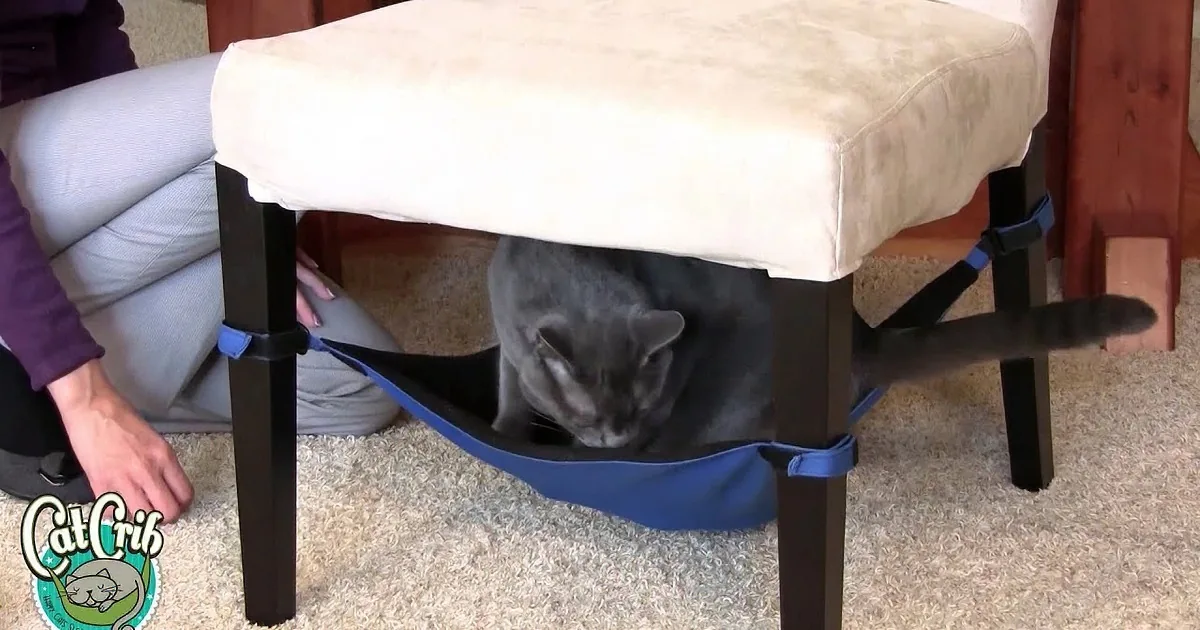 A gray cat with striking yellow eyes rests in a blue hammock on a carpeted floor.