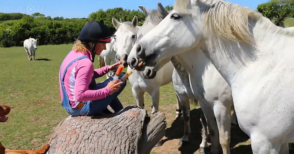 A woman in pink and blue feeds a white horse with a syringe in a grassy field.