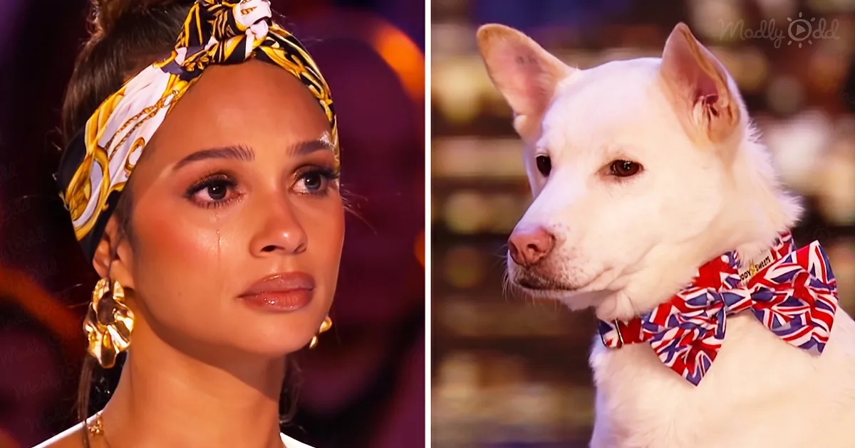A woman with a headscarf and earrings, crying, alongside a white dog wearing a Union Jack bow tie.