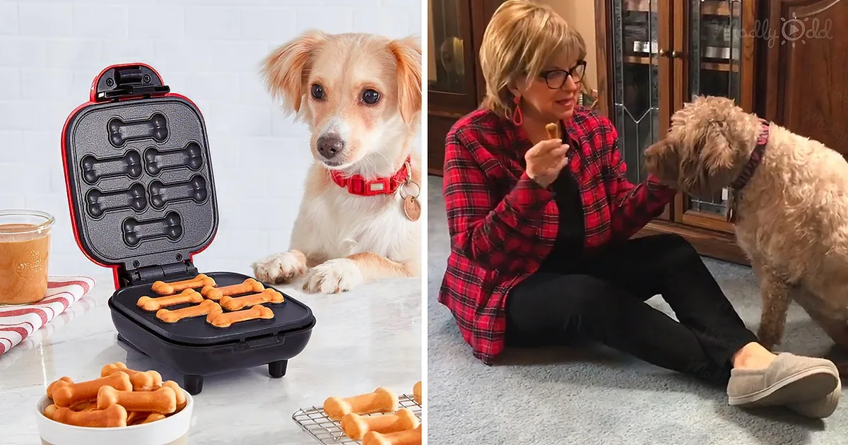 A dog looks at a bone-shaped waffle maker with treats, while a woman feeds another dog on the floor.