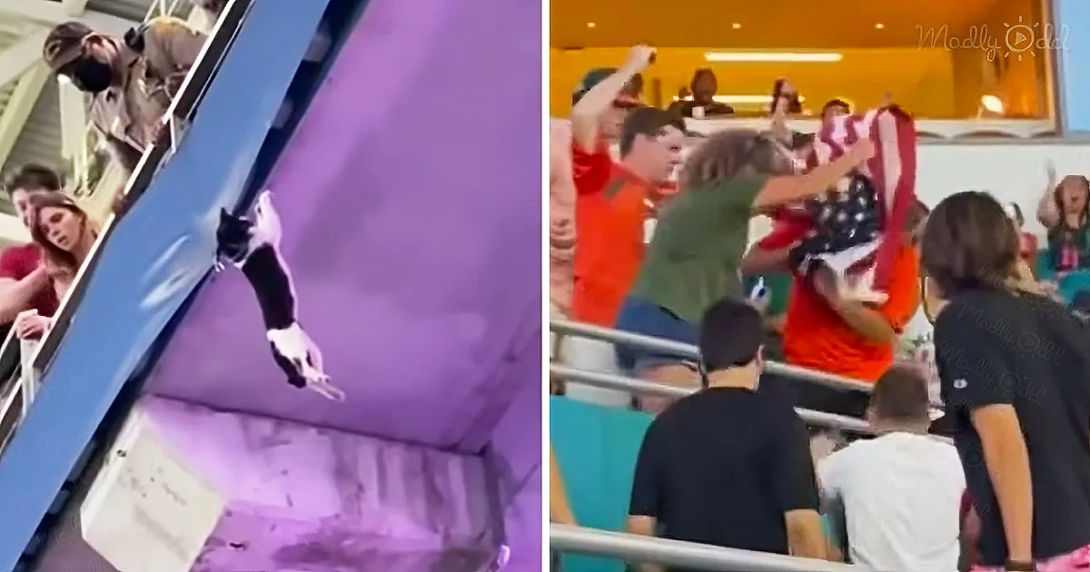 A skateboarder jumps off a ramp, while a crowd cheers and celebrates in the background.