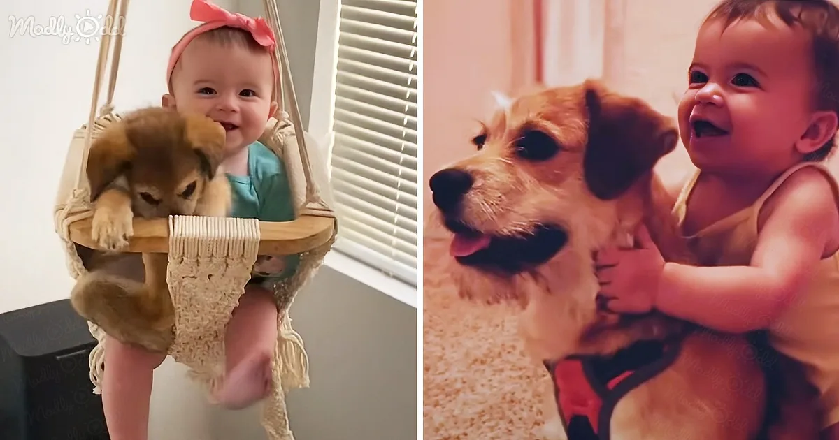 A baby smiles joyfully while holding a puppy in a hammock, both appearing happy and content.