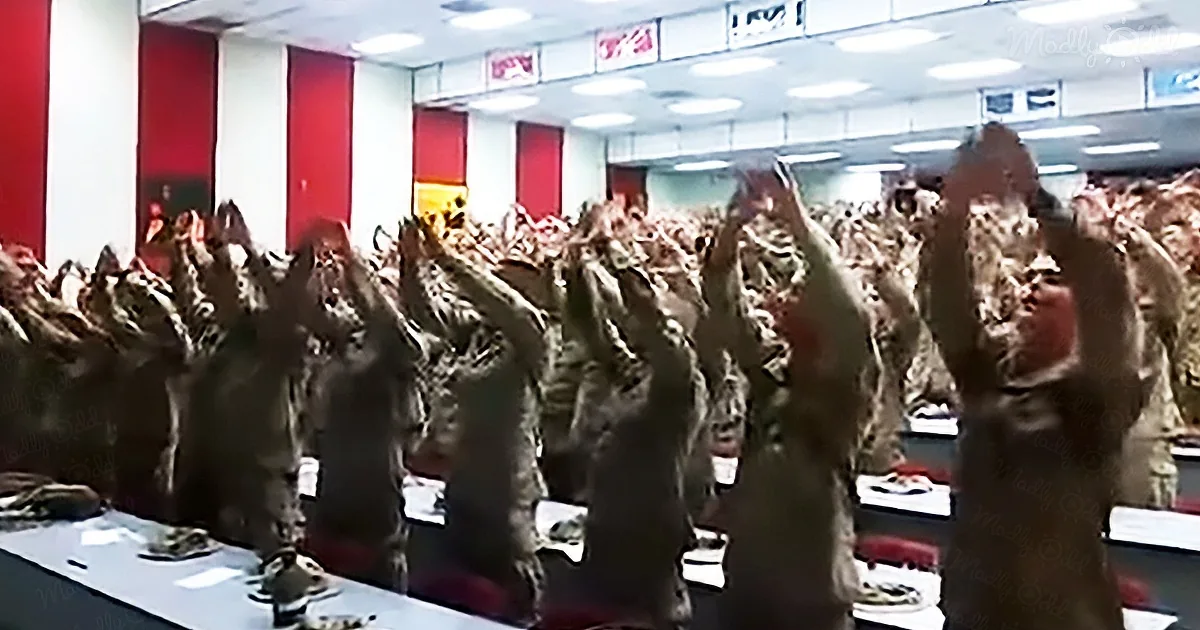 A group of uniformed individuals in a room, raising their hands in unison.