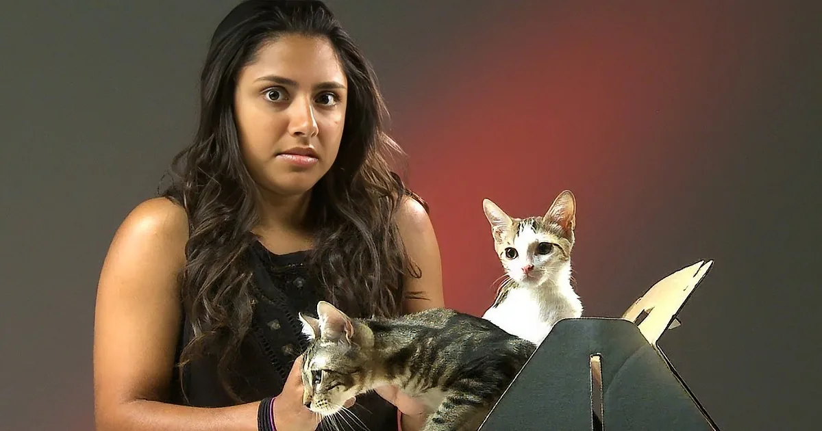 Comical Responses From ''Cat Haters'' When They Hold a Kitten for the First Time.