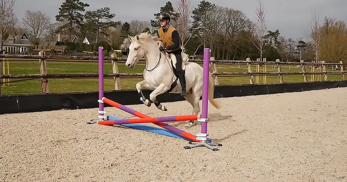 A white horse and rider jump over a colorful obstacle in a sandy arena.