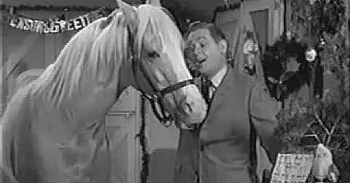 Mr. Ed Tries to Tell Wilbur About How a Horse Saved Christmas