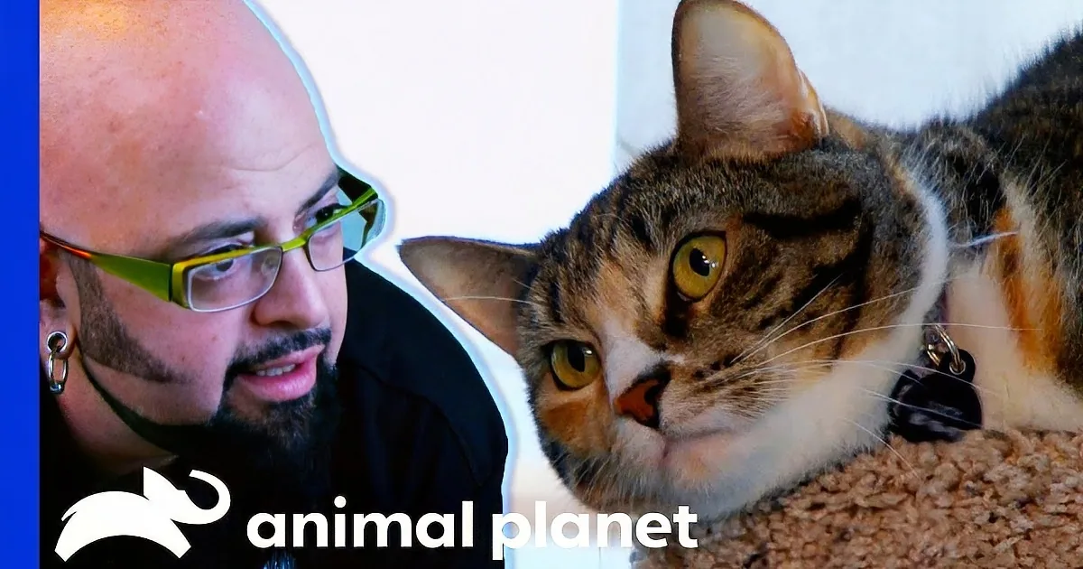 Jackson Galaxy Uses Groundbreaking 'Blinking' Technique to Calm a Feisty Cat