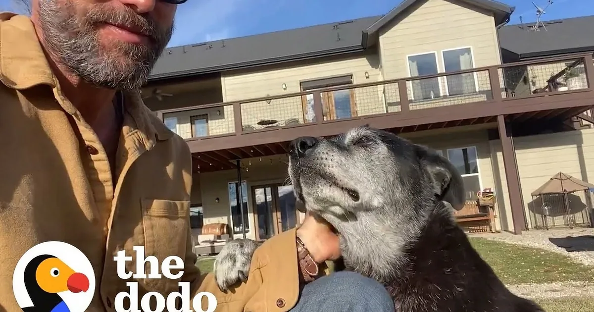 Senior Rescue Dog Learns to Prance Around Like a Puppy