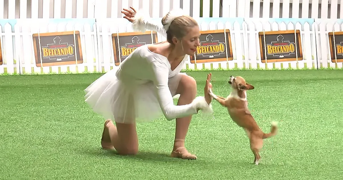 A ballerina in white ballet attire kneels on grass, interacting with a small dog.