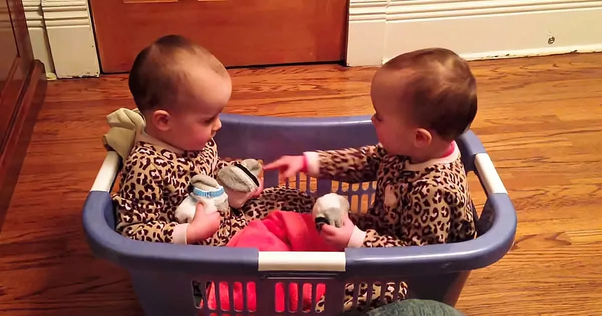 Two babies in leopard print pajamas sit in a blue laundry basket, holding stuffed animals.