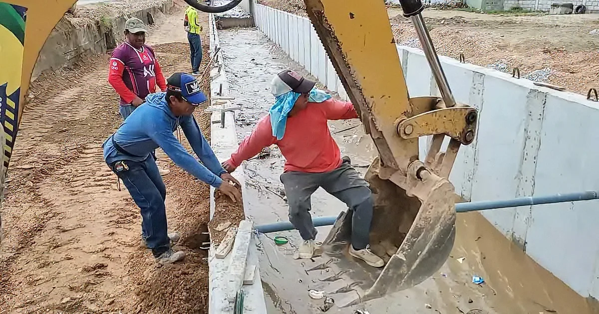 Construction Crew Cleverly Uses Excavator to Save Dog From Drowning