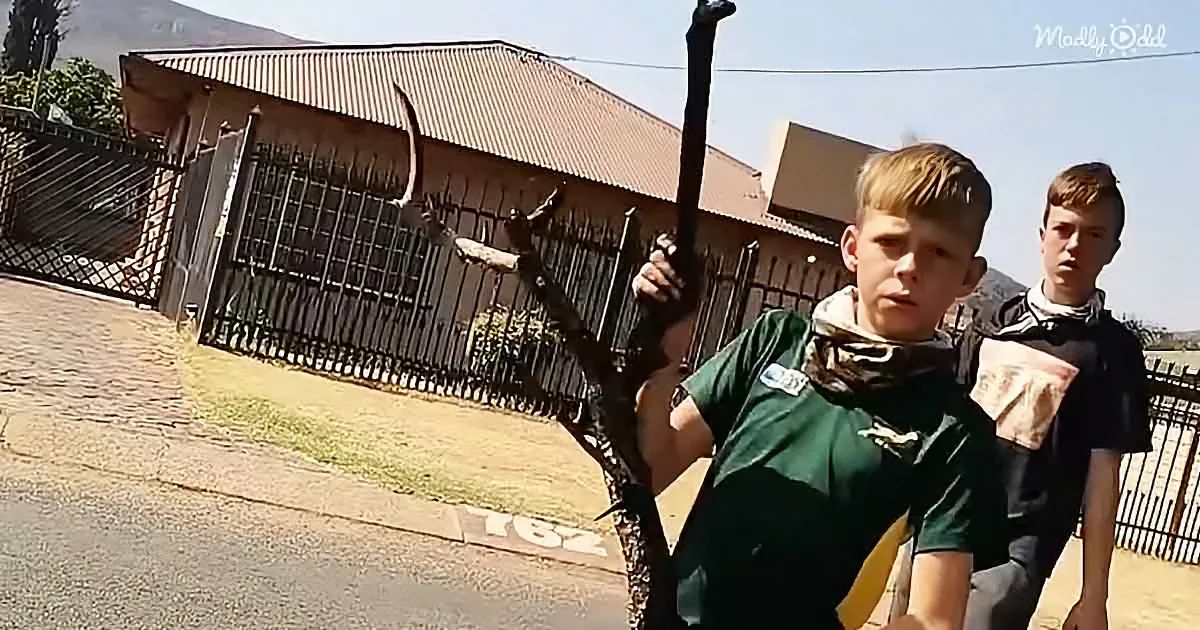 A boy in a green shirt holds a large bird leg, another boy in a black shirt stands behind him.