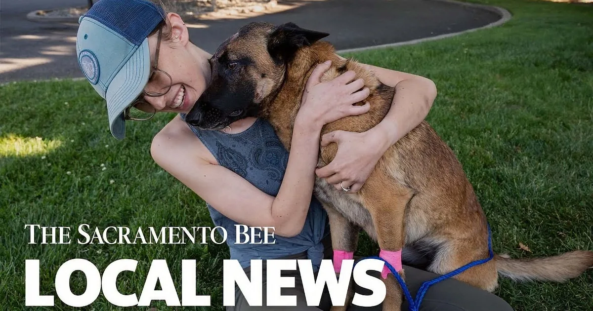Brave Dog Overcomes All Odds; Saves Owner From a Mountain Lion
