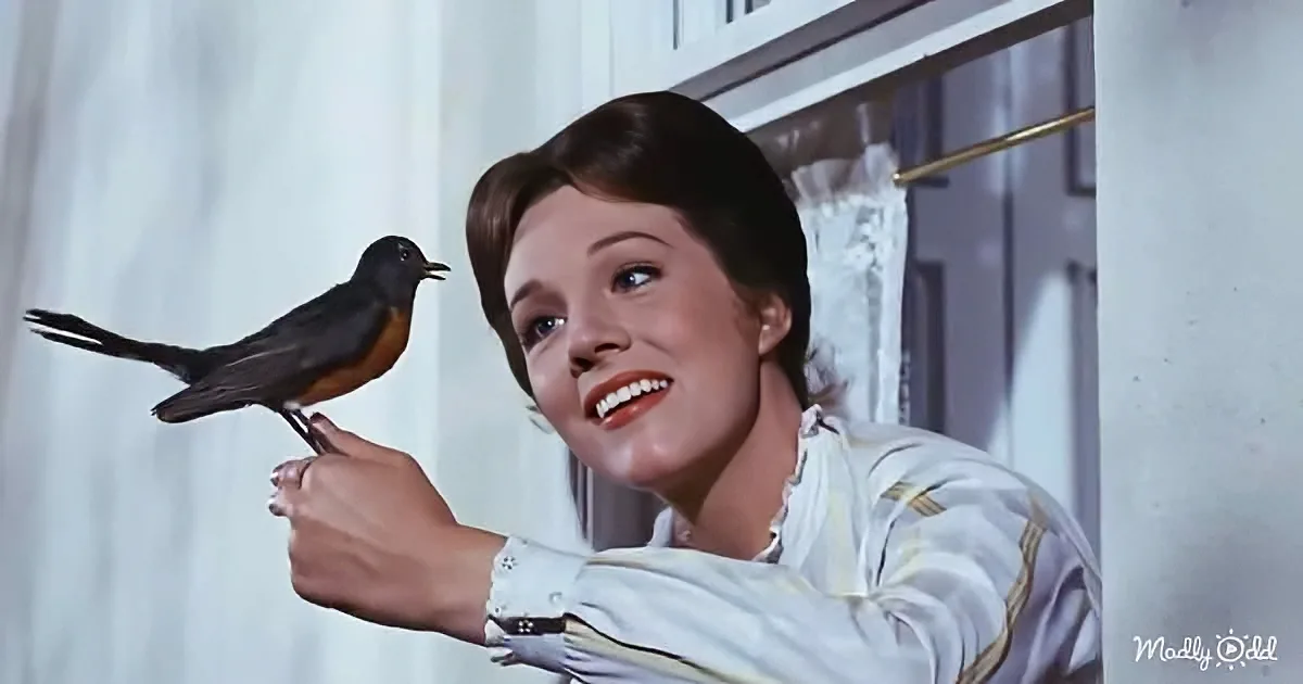 A woman holds a bird on her finger, smiling, in a room with curtains and a window.