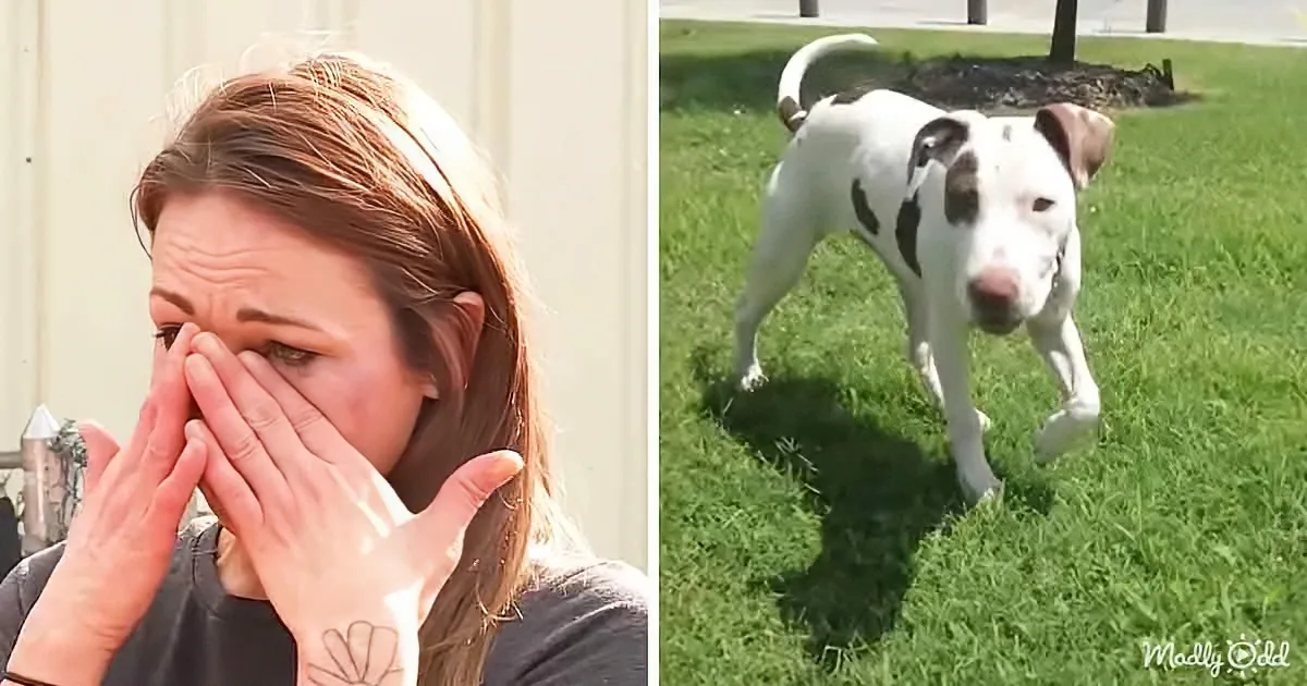 Woman Breaks Into Animal Shelter to Save Her Dog From Euthanasia