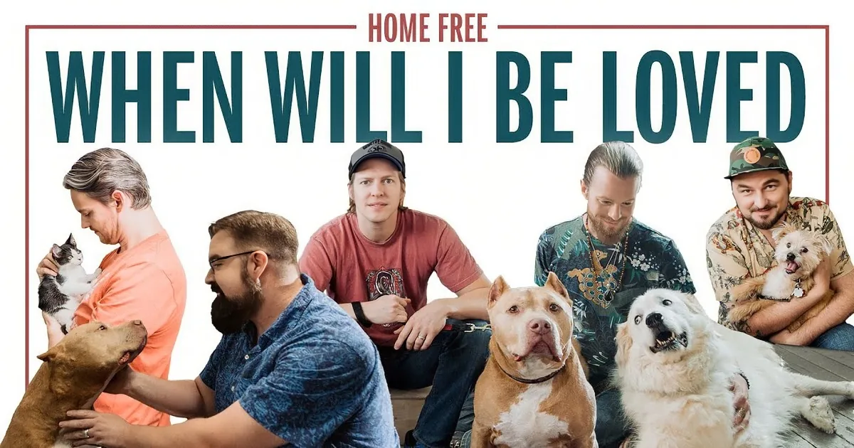 Emotional Ballad by 'Home Free' With Puppies and Kittens Gets 11 out of 10 Stars