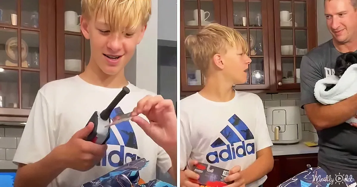 At First, He Was Confused... Then the Dog Toys Made Sense
