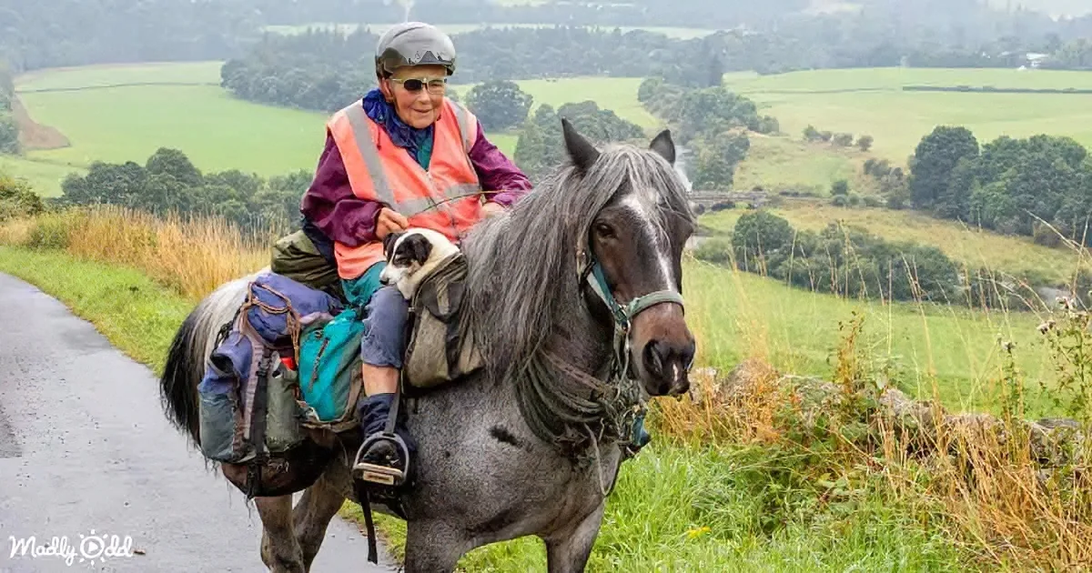 A person rides a horse along a path, carrying a dog and gear, with a scenic green landscape in the background.