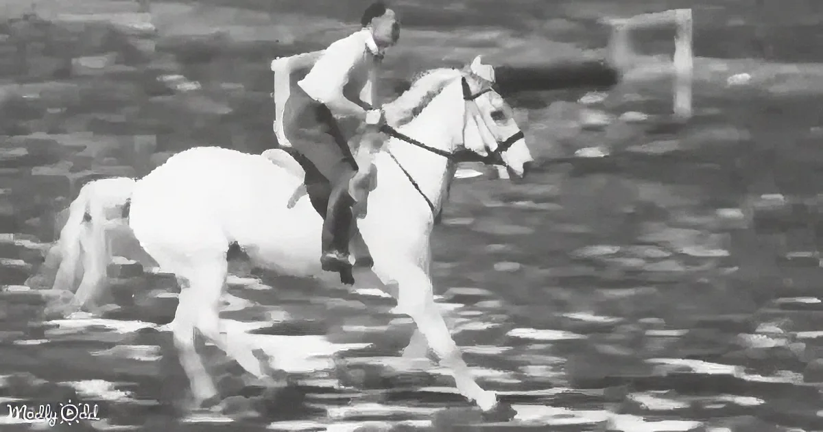 A man rides a white horse in a black-and-white image, appearing to gallop across a textured surface.