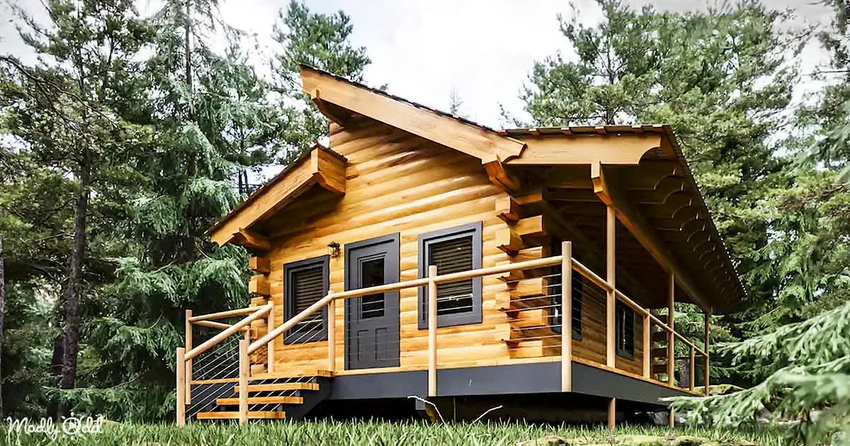 A rustic log cabin with a porch, surrounded by tall evergreen trees.