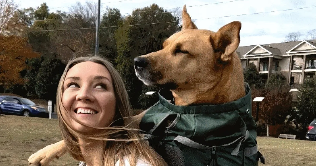 Adopted Miracle Dog Unites Family in Cancer Battle