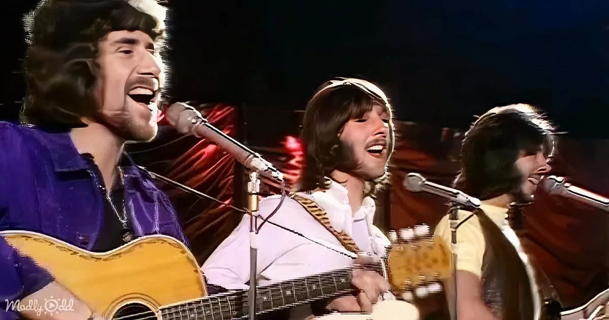 Three musicians with long hair and beards sing passionately on stage, one playing guitar.