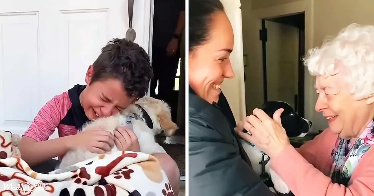 A young boy hugs a puppy, while a woman and elderly woman smile and interact with a black dog.