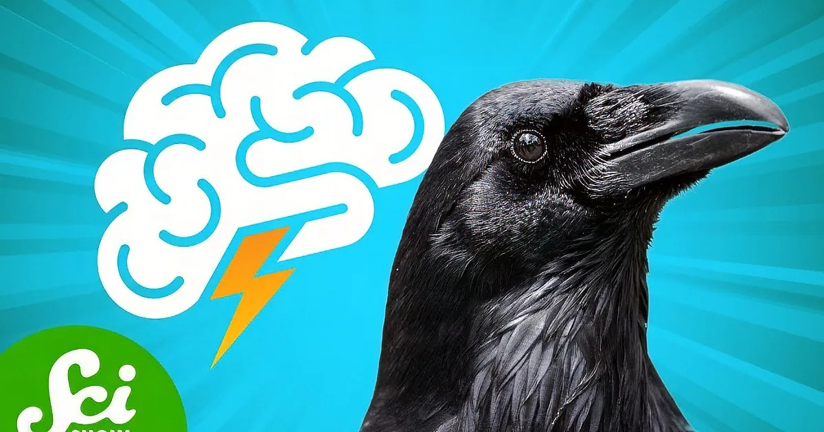 A crow perched on a signpost holds a broken stick in its beak against a clear sky backdrop.