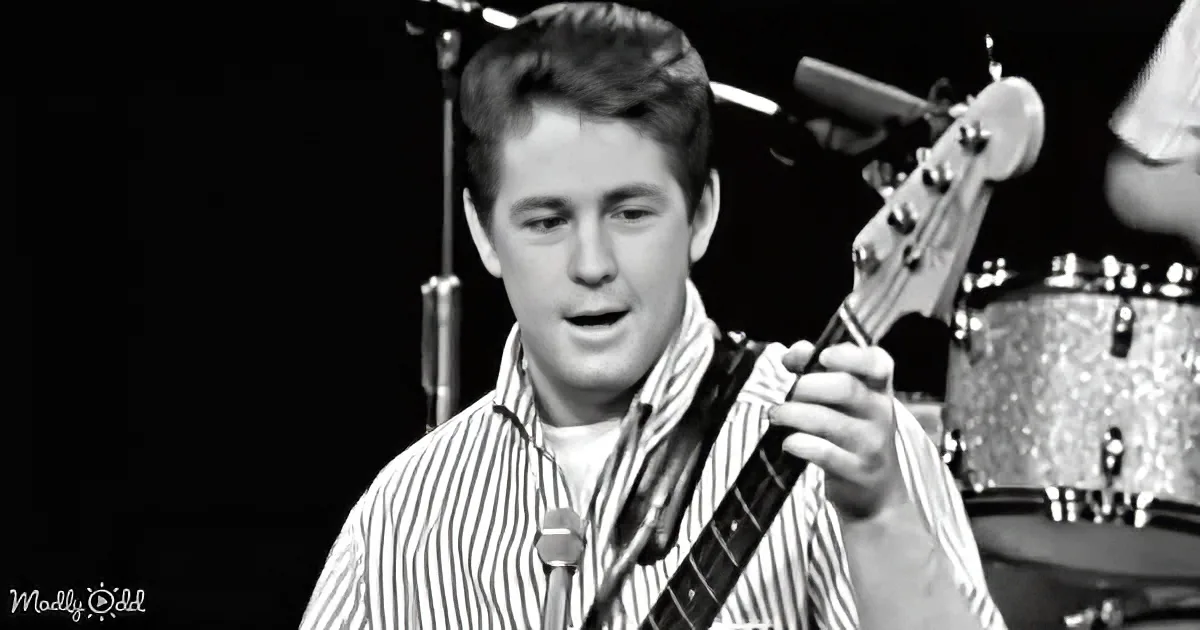 The Beach Boys