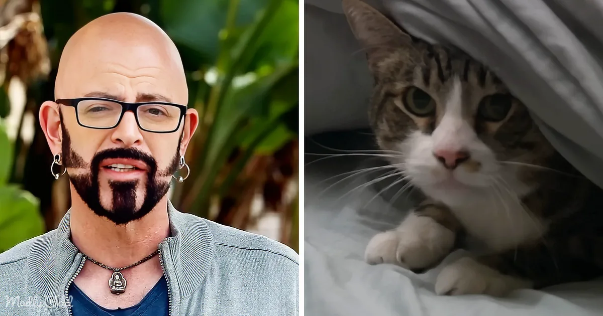 A man with glasses and a beard stands next to a cat peeking out from under a blanket.