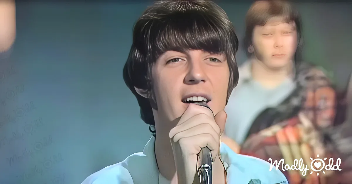 Rewind to 1968 for Three Dog Night's Teenage Debut of 'Tenderness'