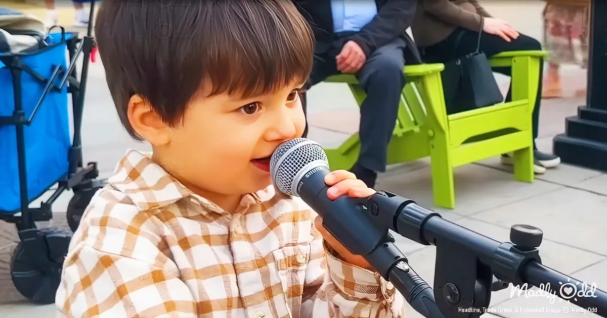 3-Year-Old Channels Elvis With Soulful Rendition of 'Can't Help Falling in Love'
