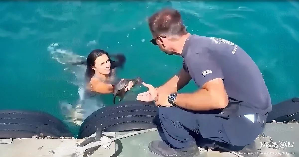 A man kneels by the water, holding a fish, while a woman swims nearby, both near a large whale.