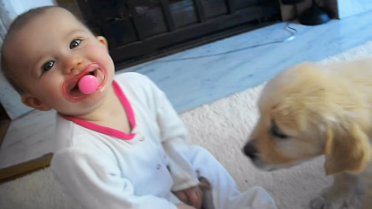 Adorable Baby Girl And Little Puppy Meet For The First Time Too Cute
