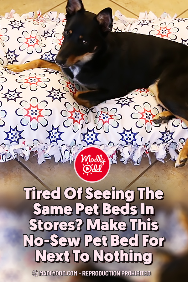 Tired Of Seeing The Same Pet Beds In Stores? Make This No-Sew Pet Bed For Next To Nothing